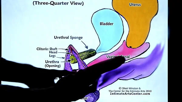 SQUIRTING TUTORIAL #2 - How to Make Girl SQUIRT?