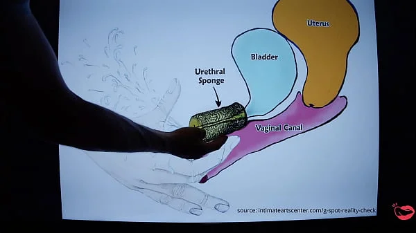 SQUIRTING TUTORIAL !!! How to make girl SQUIRT ?! MrPussyLicking